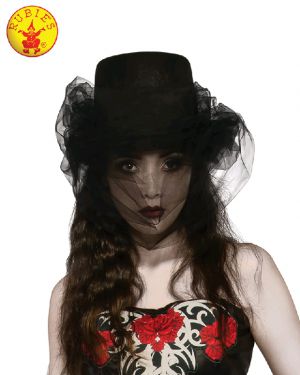 BLACK HALLOWEEN TOP HAT AND VEIL, ADULT