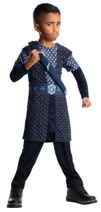 THORIN FROM 'THE HOBBIT' COSTUME, CHILD - SIZE L